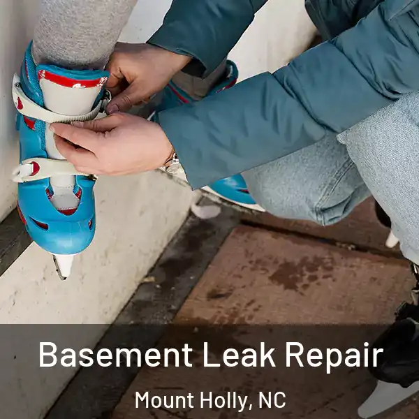  Basement Leak Repair Mount Holly, NC