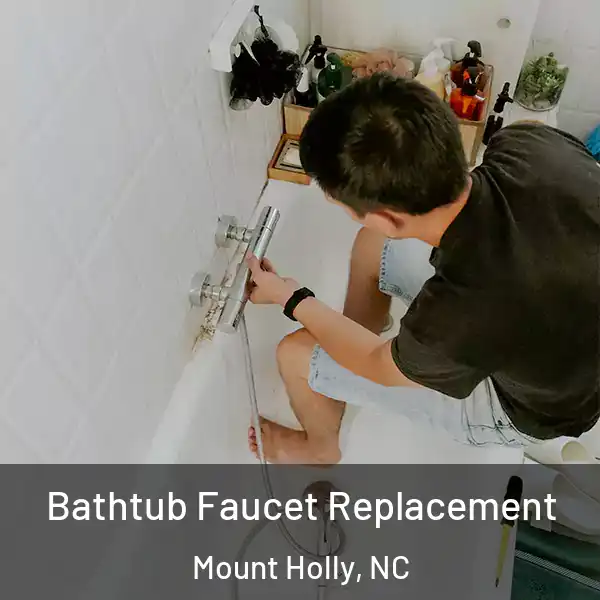  Bathtub Faucet Replacement Mount Holly, NC