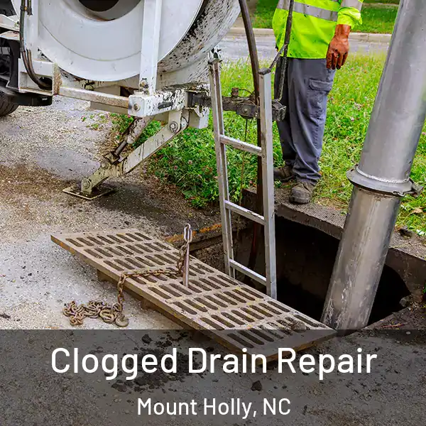  Clogged Drain Repair Mount Holly, NC