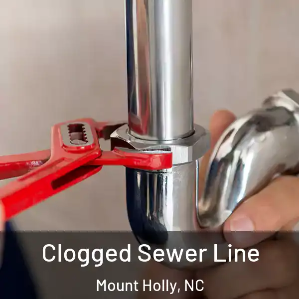  Clogged Sewer Line Mount Holly, NC