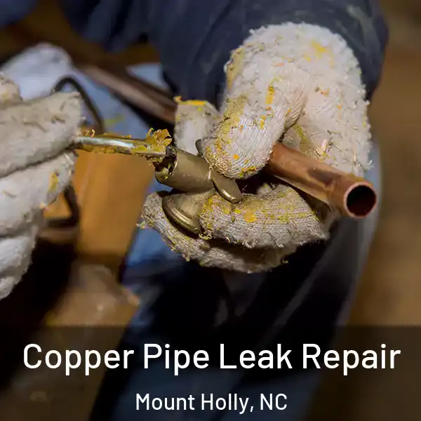  Copper Pipe Leak Repair Mount Holly, NC