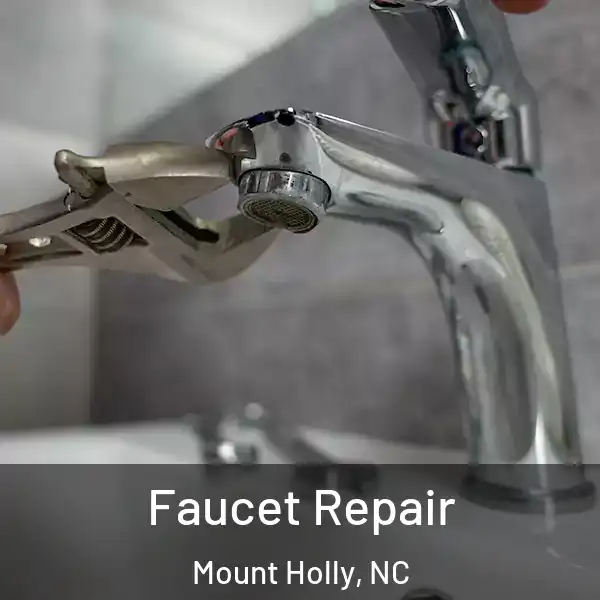  Faucet Repair Mount Holly, NC