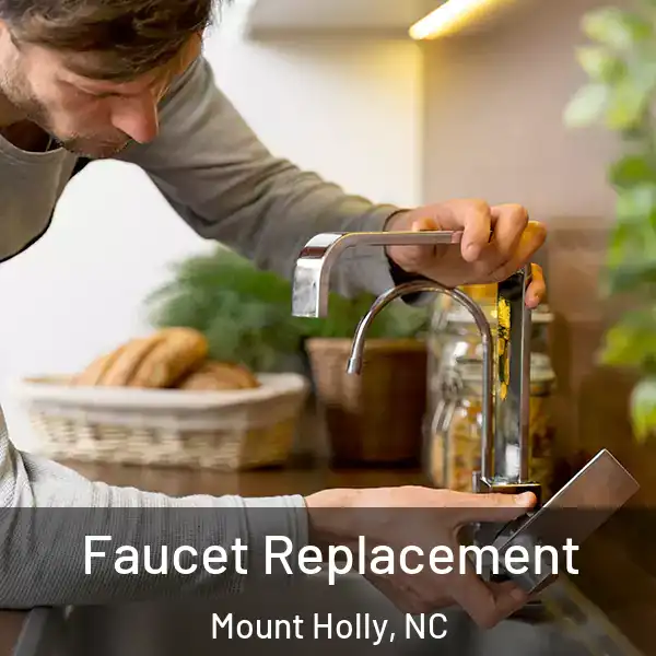  Faucet Replacement Mount Holly, NC