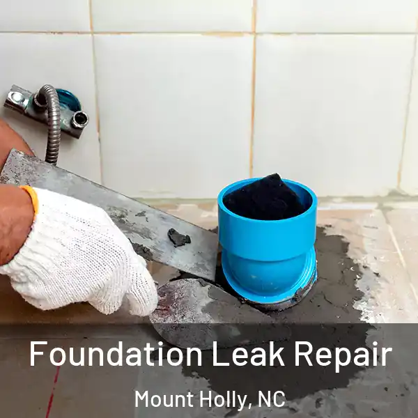  Foundation Leak Repair Mount Holly, NC