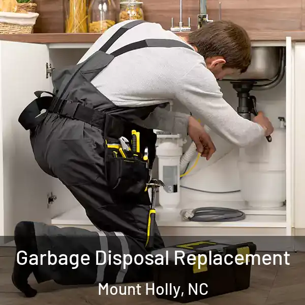  Garbage Disposal Replacement Mount Holly, NC