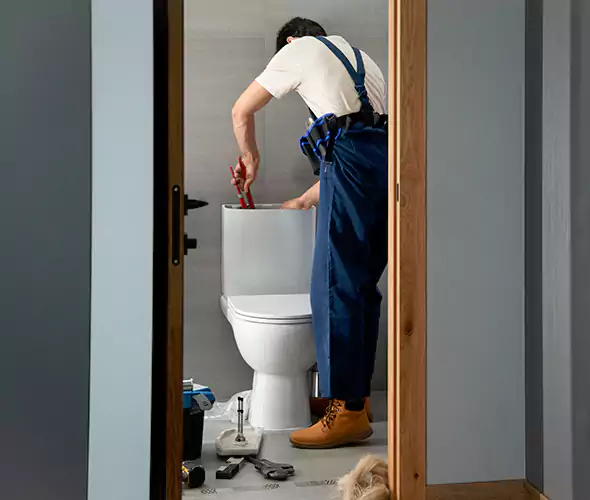 Professional Plumbers for Toilet Bowl Replacement in Mount Holly, NC: Schedule Affordable Toilet Replacement Services With Us
