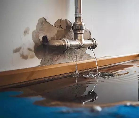 Professional Water Damage Restoration Experts in Mount Holly, NC — Fast, Reliable & Certified