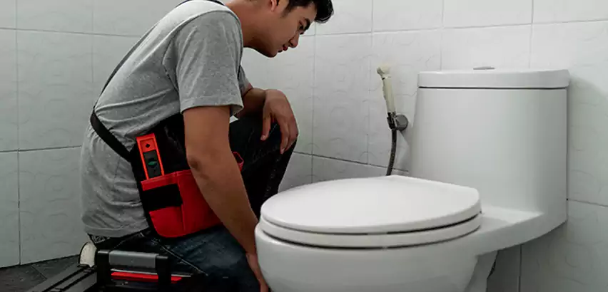 Toilet Repair in Mount Holly