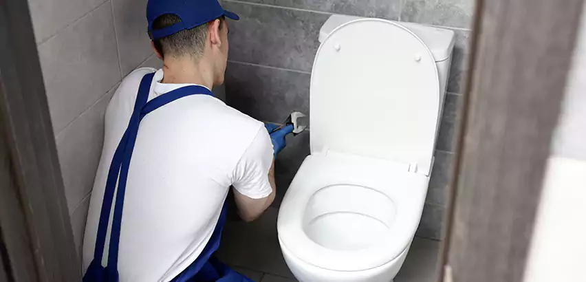 Toilet Lid Replacement in Mount Holly