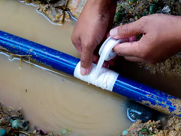  Why Choose Mount Holly Plumbing for Leak Detection in Mount Holly, NC?]