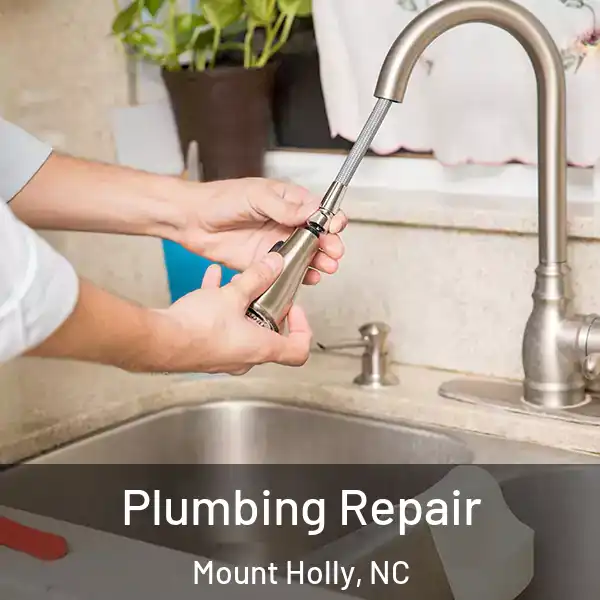  Plumbing Repair Mount Holly, NC