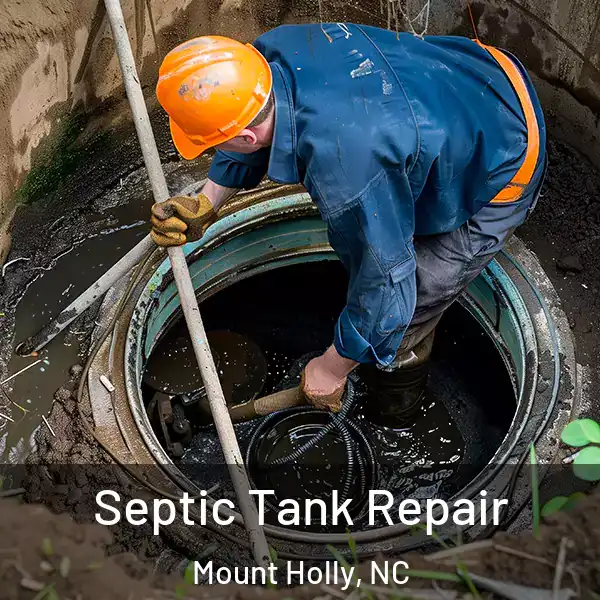  Septic Tank Repair Mount Holly, NC