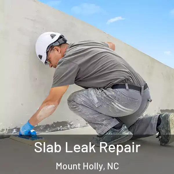  Slab Leak Repair Mount Holly, NC
