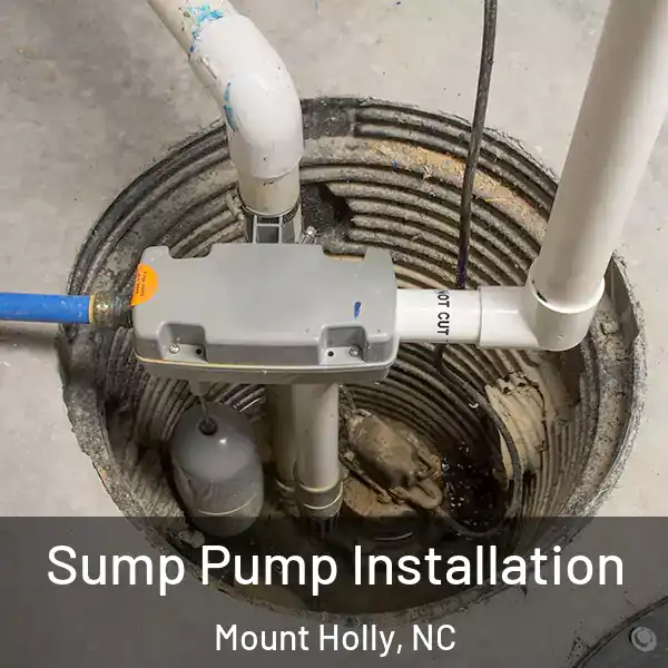  Sump Pump Installation Mount Holly, NC