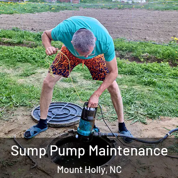  Sump Pump Maintenance Mount Holly, NC