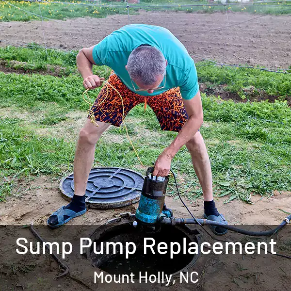  Sump Pump Replacement Mount Holly, NC