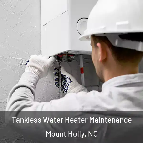  Tankless Water Heater Maintenance Mount Holly, NC