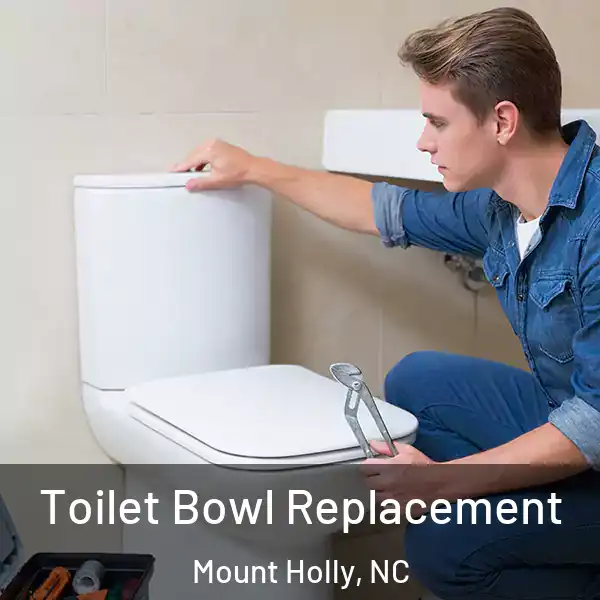  Toilet Bowl Replacement Mount Holly, NC