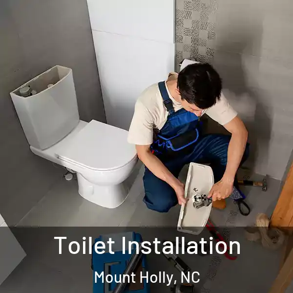  Toilet Installation Mount Holly, NC