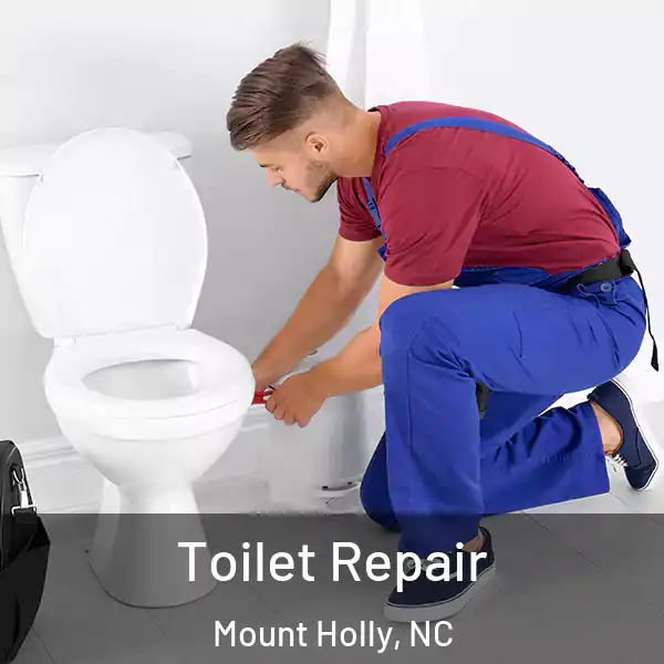  Toilet Repair Mount Holly, NC