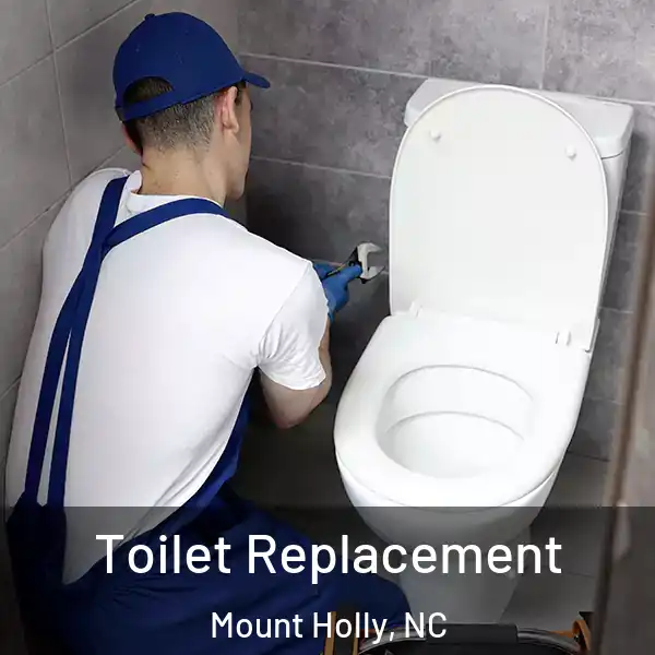  Toilet Replacement Mount Holly, NC