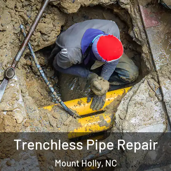  Trenchless Pipe Repair Mount Holly, NC
