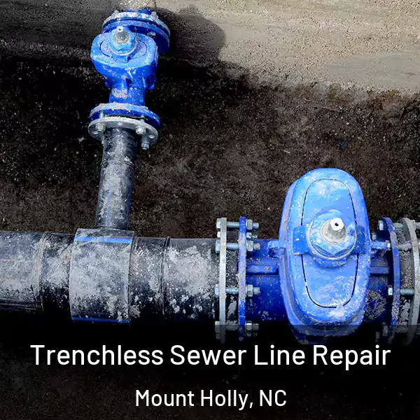  Trenchless Sewer Line Repair Mount Holly, NC