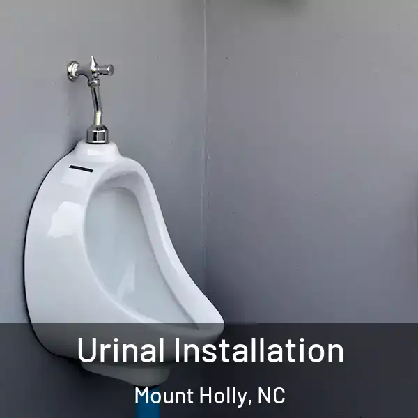  Urinal Installation Mount Holly, NC