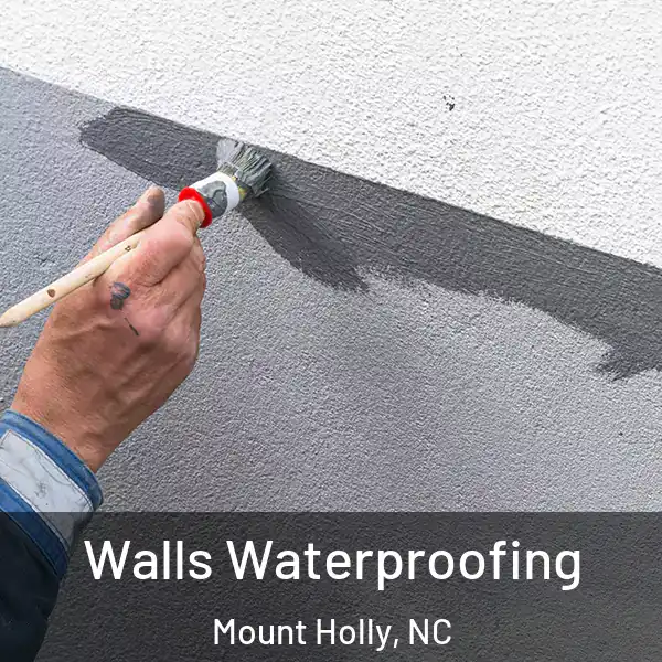  Walls Waterproofing Mount Holly, NC