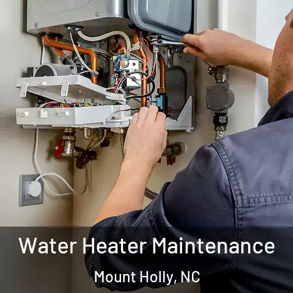  Water Heater Maintenance Mount Holly, NC