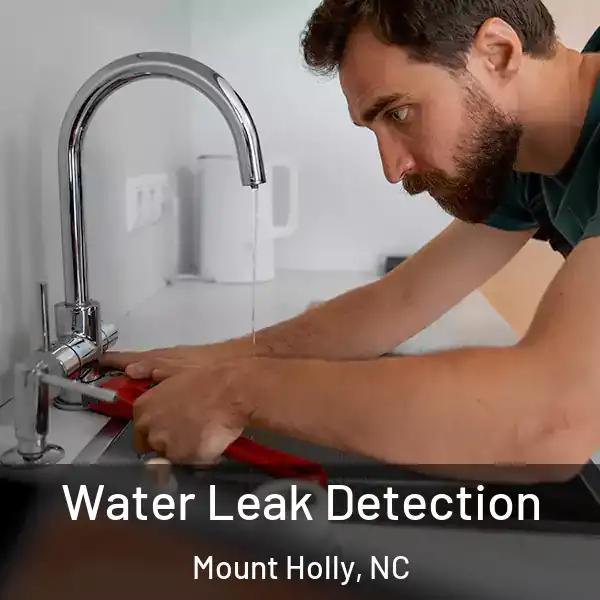  Water Leak Detection Mount Holly, NC