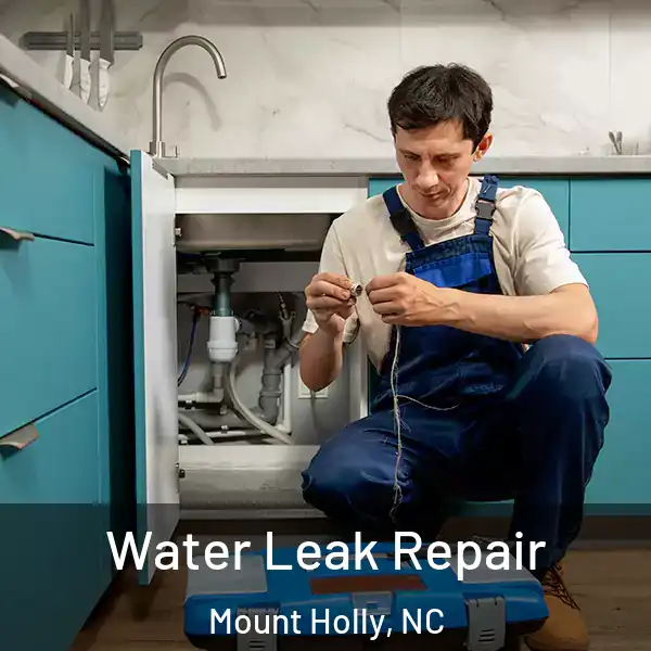  Water Leak Repair Mount Holly, NC