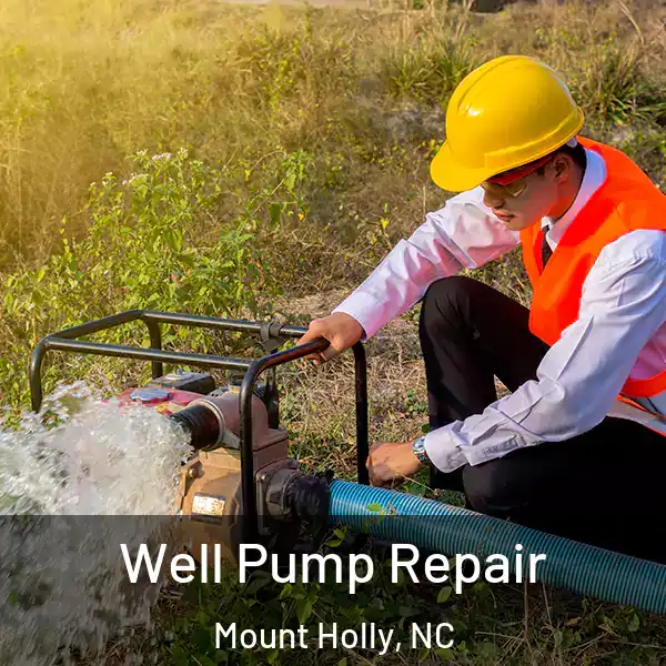  Well Pump Repair Mount Holly, NC