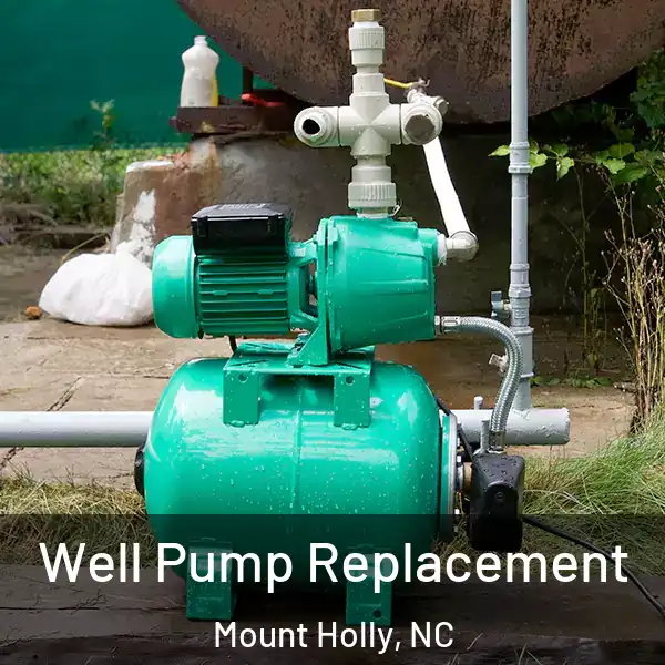  Well Pump Replacement Mount Holly, NC